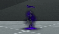 Shadow