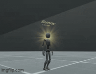 Sunny